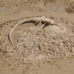 Festival skulptura u pjesku