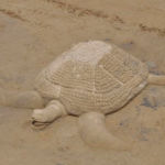 Festival skulptura u pjesku