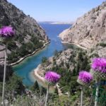 Zavratnica izvor PP Velebit